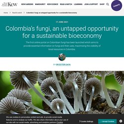 Colombia’s fungi, an untapped opportunity for a sustainable bioeconomy