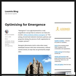 Optimising for Emergence – Loomio Blog
