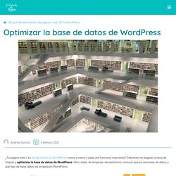 Optimizar la base de datos de Wordpress - El Estudio de Andrés
