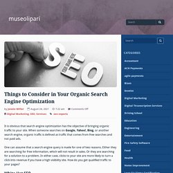 Things to Consider in Your Organic Search Engine Optimization - museolipari