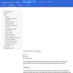Optimize Images - PageSpeed Insights