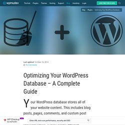 Optimizing Your WordPress Database - A Complete Guide