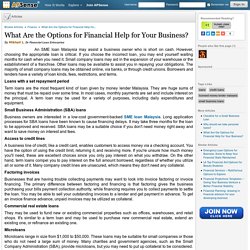 What Are the Options for Financial Help for Your Business? by Mikhail L.