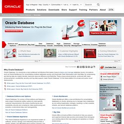 Oracle Database Server