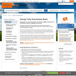 Orange Tulip Scholarship Brazil — Nuffic Neso Brazil