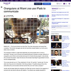 Orangutans at Miami zoo use iPads to communicate