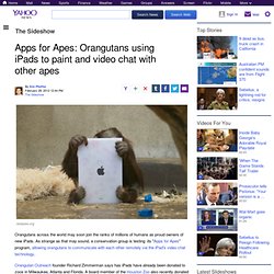 Apps for Apes: Orangutans using iPads to paint and video chat with other apes