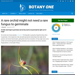 A rare orchid might not need a rare fungus to germinate