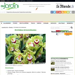 L'encyclopédie des orchidées et des broméliacées