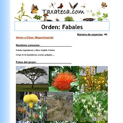 Order Fabales