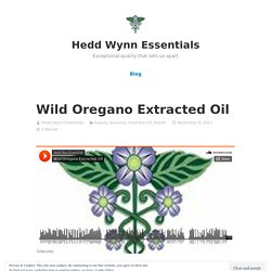 Wild Oregano Extracted Oil – Hedd Wynn Essentials