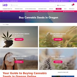 Cannabis Seeds Augusta