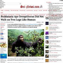 Prehistoric Ape Oreopithecus Did Not Walk on Two Legs Like Human