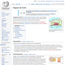Organe de Corti