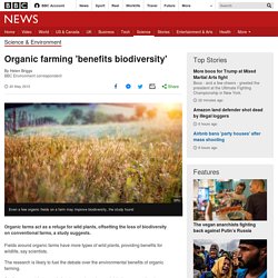 Organic farming 'benefits biodiversity'