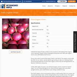 Fresh Organic Onion Exporters Gujarat,Fresh Organic Onion Export Company India