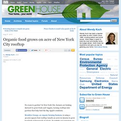 Organic food grows on acre of New York City rooftop