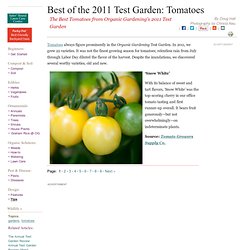 Best of Organic Gardening's 2011 Test Garden: Tomatoes