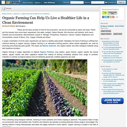Organic Farming Can Help Us Live a Healthier Life in a Clean Environment by Kwak Minjun
