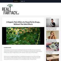 3 Organic Pain Killers As Powerful As Drugs, Without The Side Effects – REALfarmacy.com