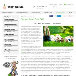 Organic Lawn Care 101 - Maintaining a Chemical-Free Lawn