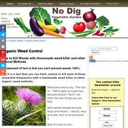 Organic Weed Control. How to Naturally Kill Weeds with Homemade Weed Killer