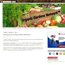 Feeding a City on Urban Organic Agriculture