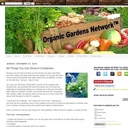 Organic Gardens Network™: 66 Things You Can Grow In Containers