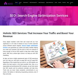 Organic Search Engine Optimization (SEO) Services company