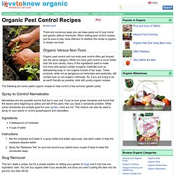 Organic Pest Control Recipes