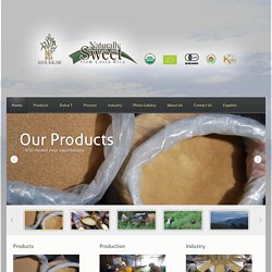 Organic Soft Whole Cane Sugar - Natural and healthy sugar cane products - Assukkar