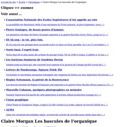 Claire Morgan Les bascules de l’organique - revue art contemporain - revue art contemporain