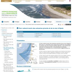 Parc naturel marin des estuaires picards et de la mer d’Opale - Parcs naturels marins - Organisation - L'Agence