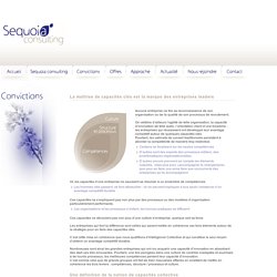 Sequoia consulting - Cabinet de conseil en management et en organisation - Convictions