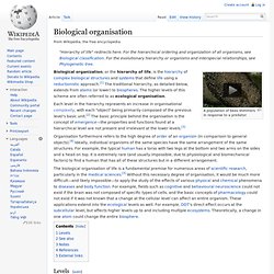 Biological organisation