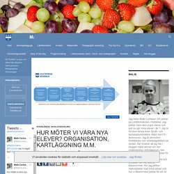 Hur möter vi våra nya elever? Organisation, kartläggning m.m.