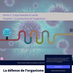 La défense de l&#39;organisme by PENOUILH Pauline on Genially