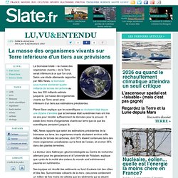 La masse des organismes vivants sur Terre inférieure d'un tiers aux prévisions