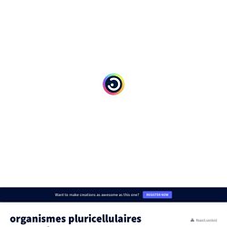 organismes pluricellulaires mbourrie