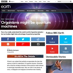 Earth - Organisms might be quantum machines