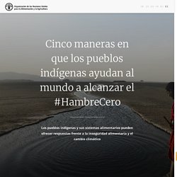 Cinco maneras en que los pueblos indígenas ayudan al mundo a alcanzar el #HambreCero 