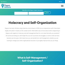 Holacracy - Flattening the Organization Structure and Busting Bureaucracy