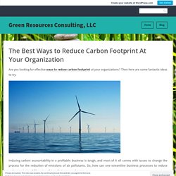 The Best Ways to Reduce Carbon Footprint At Your Organization
