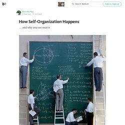 How Self-Organization Happens — Open Participatory Organization