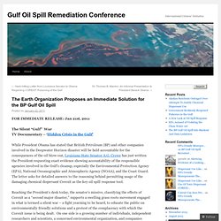 The Earth Organization Proposes an Immediate Solution for the BP Gulf Oil Spill