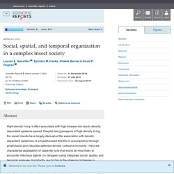 Social, spatial, and temporal organization in a complex insect society : Scientific Reports