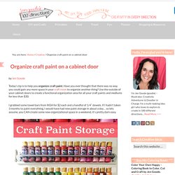 Organize craft paint on a cabinet door - 100 Directions