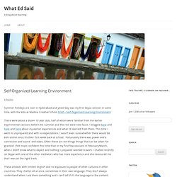 Self Organized Learning Environment « What Ed Said