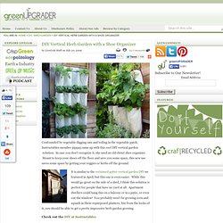 DIY Vertical Herb Garden with a Shoe Organizer