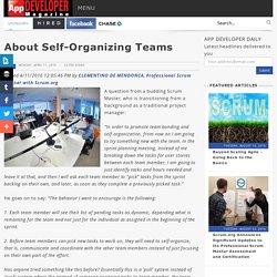 About Self Organizing Teams/